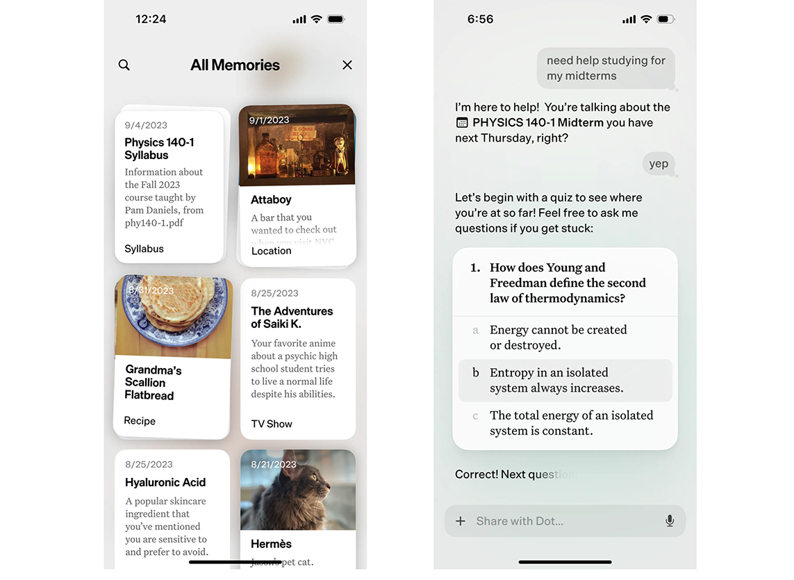 Memory in the Dot AI assistant app