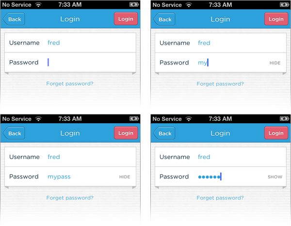 ms access password field mask